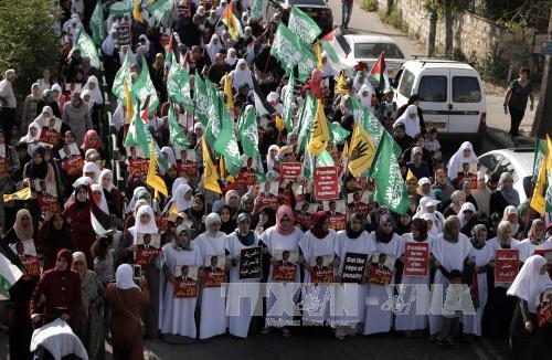 ສານອີຢີບຕັດສິນລົງໂທດເກືອບ50ຄົນທີ່ສະໜັບສະໜູນອະດີດປະທານາທິບໍດີ Morsi